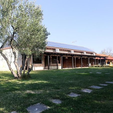 Gioulis Apartments & Studios Nea Plagia Exterior photo
